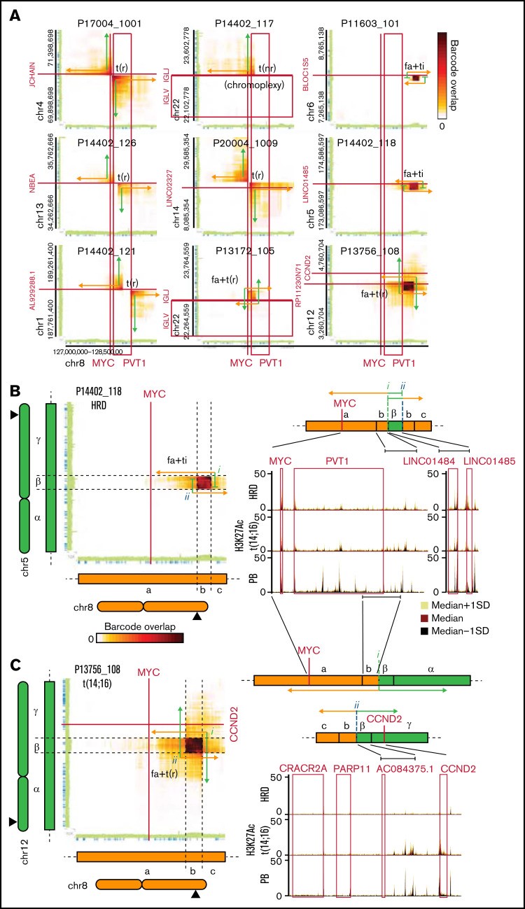 【佳学基因检测】多发性骨髓瘤的深度基因检测及大数据分析